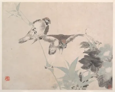 Animals Flowers And Birds Pl 6