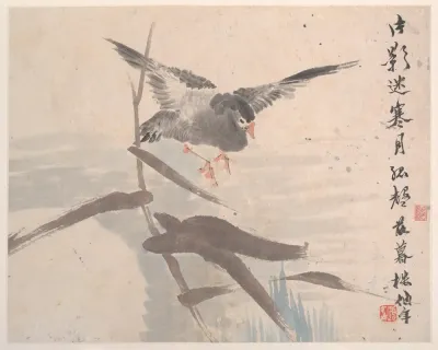 Animals Flowers And Birds Pl 8
