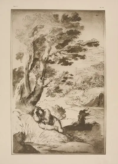Annibale Carracci Man Sleeping On Bank Of Pool