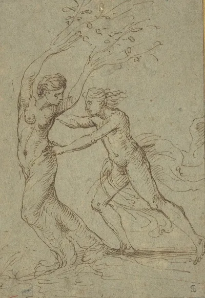 Apollo And Daphne 4