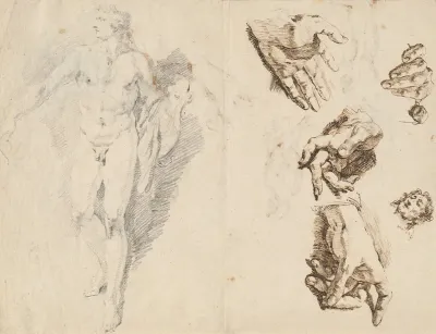 Apollo And Studies Of The Artists Own Hand Recto