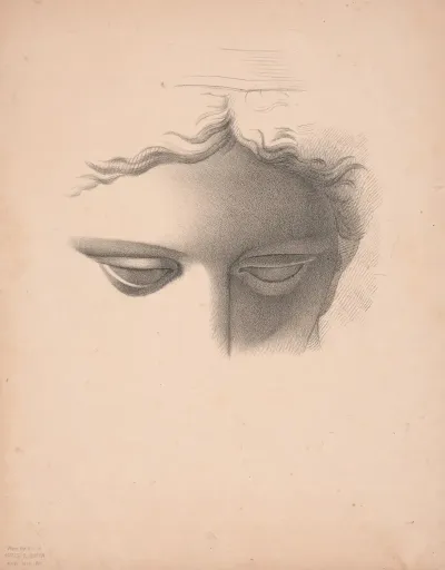 Apollo Belvidere Study Showing The Forehead Eyes And Bridge Of Nose