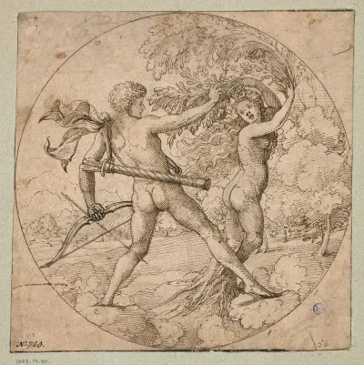Apollo Und Daphne Im Rund