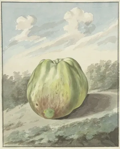 Appel In Een Landschap