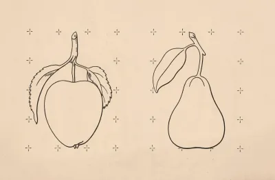 Apple And Pear