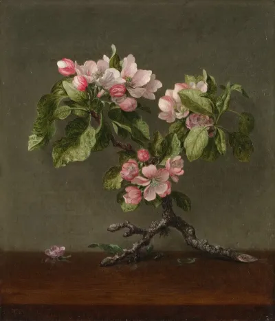 Apple Blossoms 3
