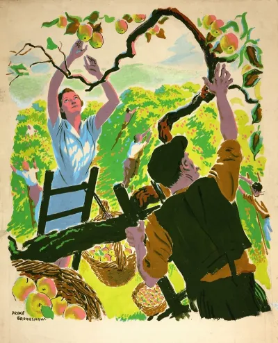 Apple Picking 2