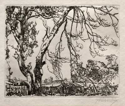 Apple Tree 2