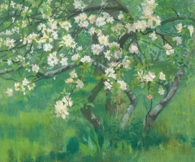 Apple Tree In Blossom 2
