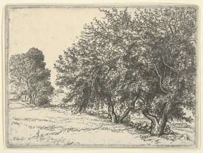 Apple Trees 2