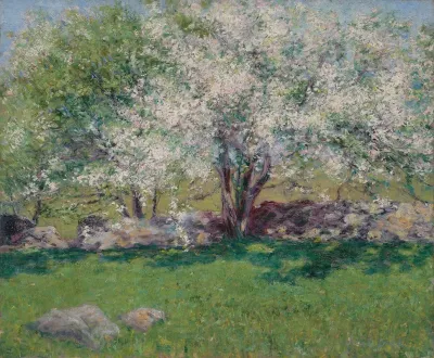 Apple Trees 5