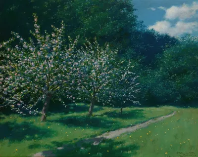 Apple Trees In Bloom