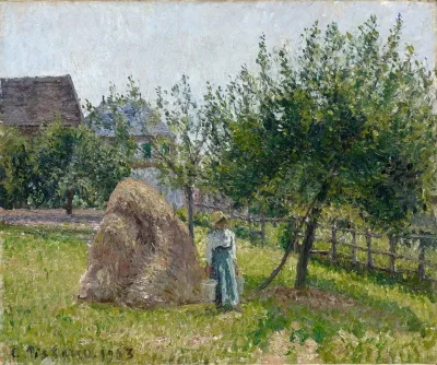 Apple Trees In Eragny Sunny Morning