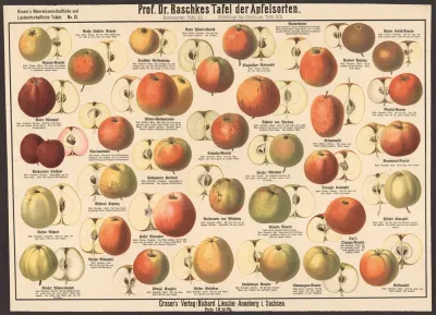 Apple Varieties