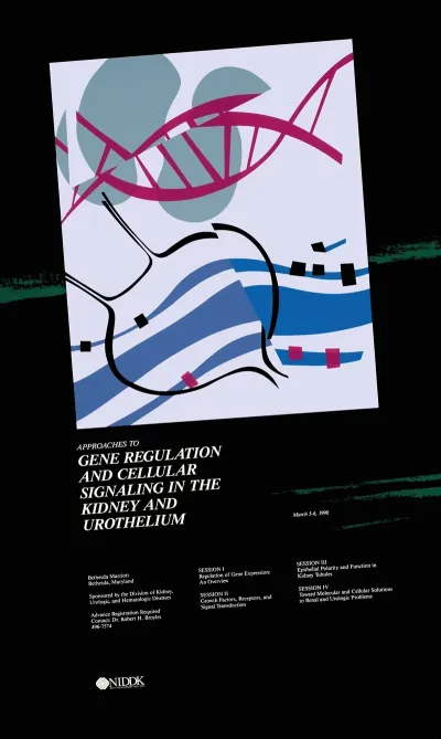 Approaches To Gene Regulation Cellular Signaling In The Kidney Urothelium