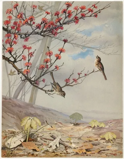 April