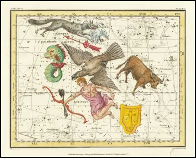 Aquila Antinous Scutum Taurus Sagittarius Vulpecula Anser Delphinus
