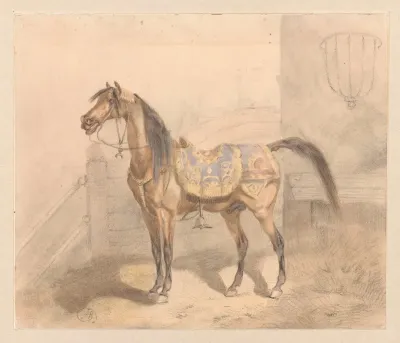 Arab In The Eastern Row In The Stable