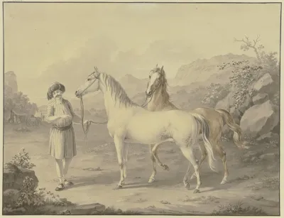 Arabian Horses