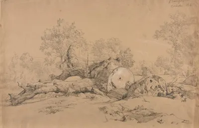 Arbre Abattu