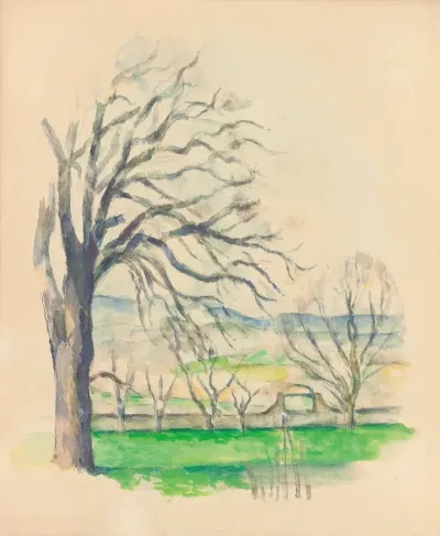 Arbre Depouille Au Jas De Bouffan
