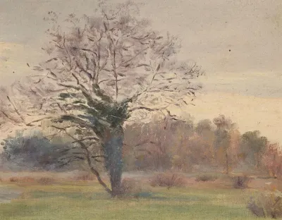 Arbre En Majeste Dans Un Pre