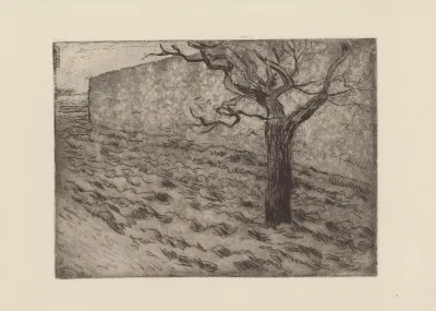 Arbre Et Terrain Laboure