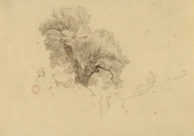 Arbre