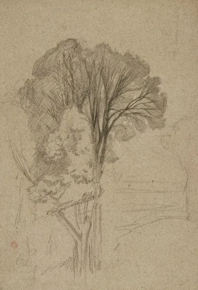 Arbres 2