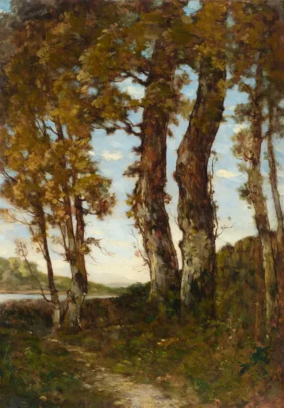 Arbres Au Bord De La Loire
