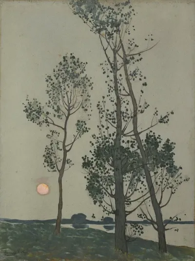 Arbres Au Clair De Lune