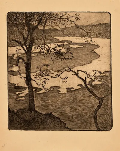 Arbres Au Dessus Dun Estuaire Trees Above The Estuary