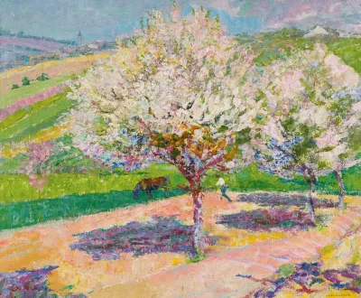 Arbres En Fleur Dans La Prairie