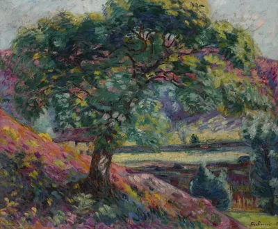 Arbres En Ile De France 2