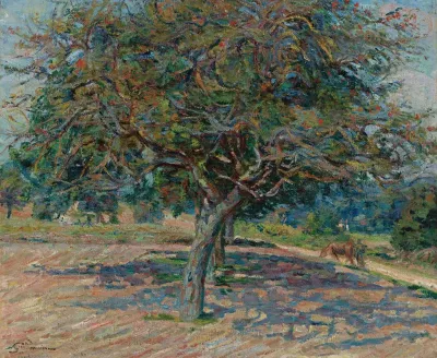 Arbres En Ile De France