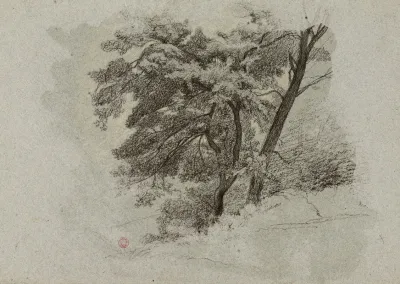 Arbres