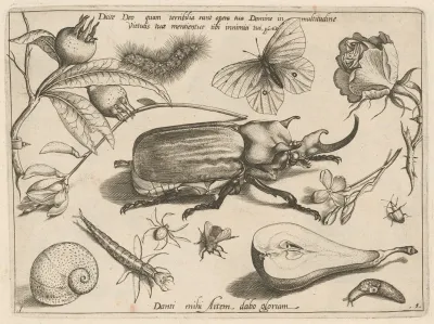 Archetypa Studiaque Patris Georgii Hoefnagelii Pl 01