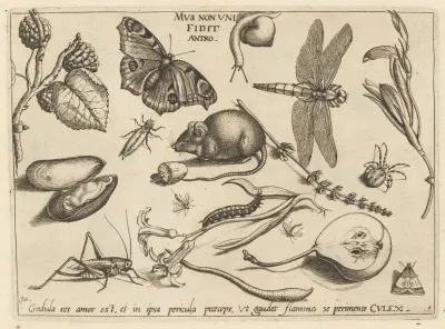 Archetypa Studiaque Patris Georgii Hoefnagelii Pl 02