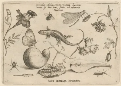 Archetypa Studiaque Patris Georgii Hoefnagelii Pl 03