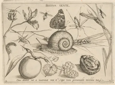 Archetypa Studiaque Patris Georgii Hoefnagelii Pl 05
