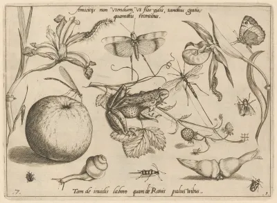Archetypa Studiaque Patris Georgii Hoefnagelii Pl 09