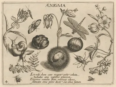 Archetypa Studiaque Patris Georgii Hoefnagelii Pl 32