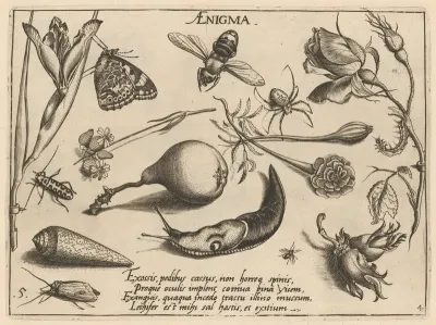 Archetypa Studiaque Patris Georgii Hoefnagelii Pl 46