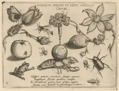 Archetypa Studiaque Patris Georgii Hoefnagelii Pl 47