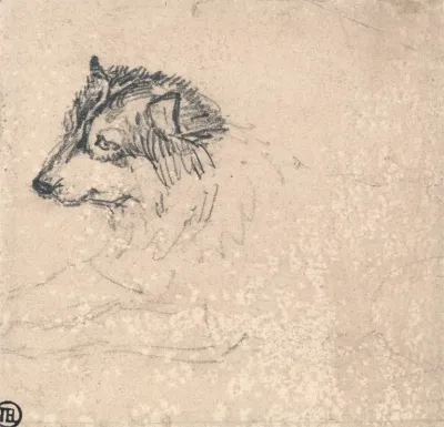Arctic Dog Facing Left