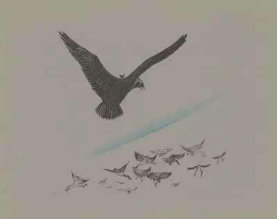 Arend Met Een Winterkoning Op De Rug Zweeft Boven Een Groep Vogels