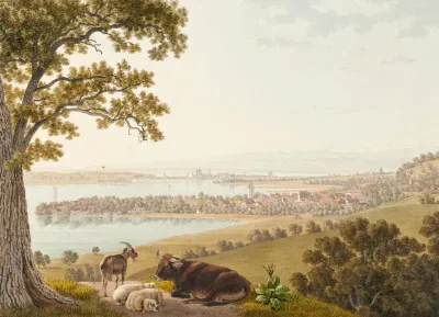 Arenenberg Ausblick Gegen Osten