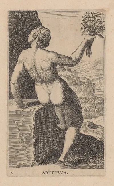 Arethusa