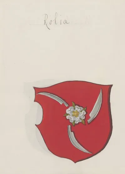 Arma Regni Et Baronum Poloniae Ac M D Lithuaniae Pl 092