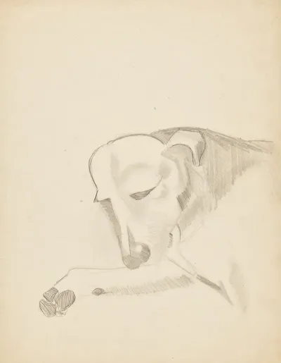 Armand